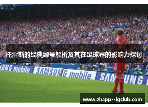 托雷斯的经典绰号解析及其在足球界的影响力探讨