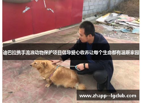 迪巴拉携手流浪动物保护项目倡导爱心收养让每个生命都有温暖家园