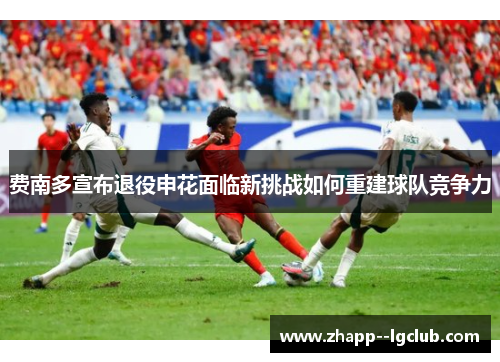 费南多宣布退役申花面临新挑战如何重建球队竞争力
