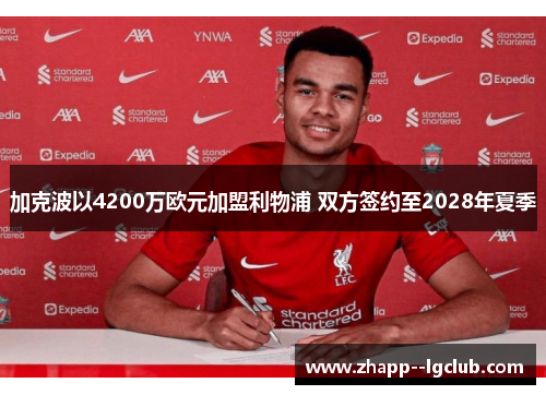加克波以4200万欧元加盟利物浦 双方签约至2028年夏季 加克波以4200万欧元加盟利物浦 双方签约至2028年夏季
