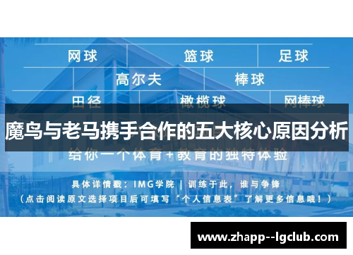 魔鸟与老马携手合作的五大核心原因分析